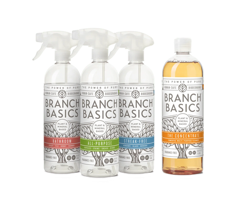 Cleaning Essentials Kit